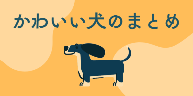 カワイイがいっぱい！ワンダーランド